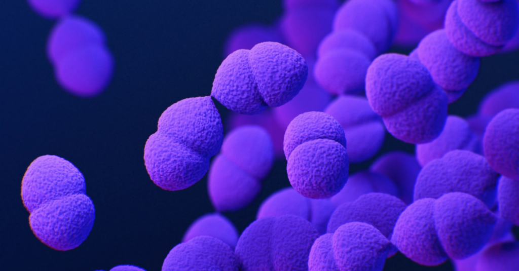 Tissue-level simulation