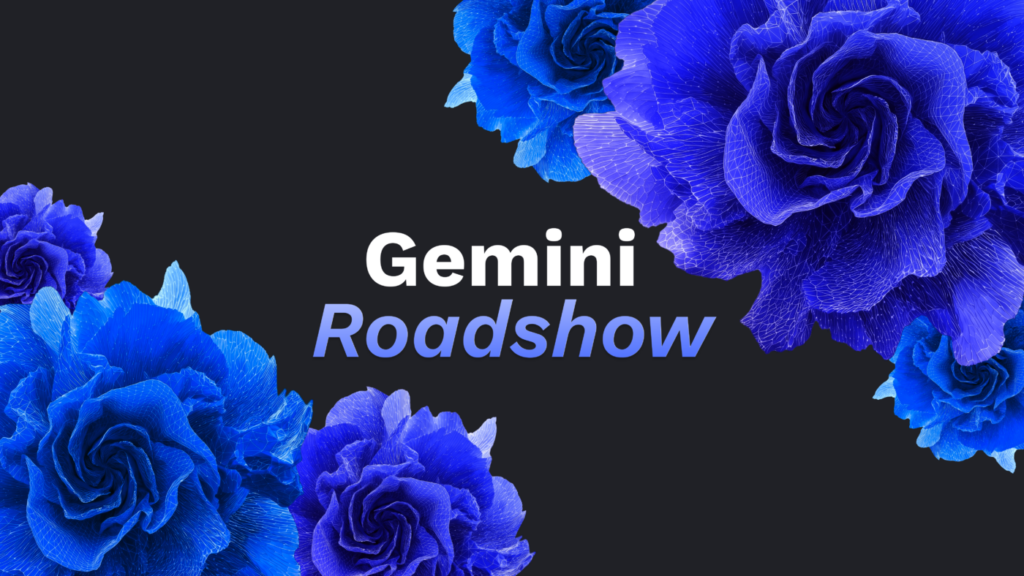 Gemini Roadshow